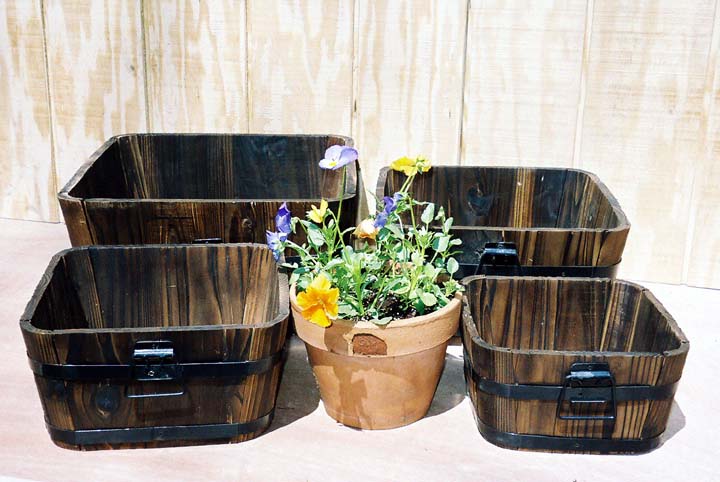 planters2 (58K)